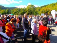 2015 Journée du Patrimoine Automobile 20 09 (14)